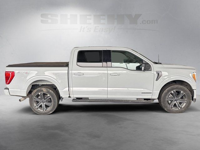 2023 Ford F-150 XLT Gaithersburg MD