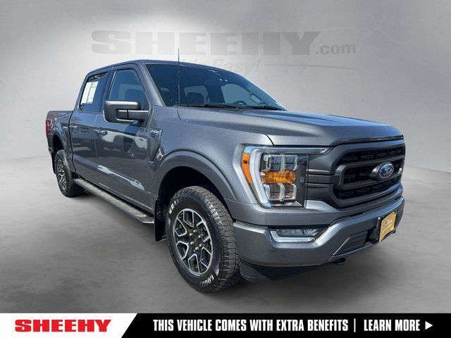 2023 Ford F-150 XLT