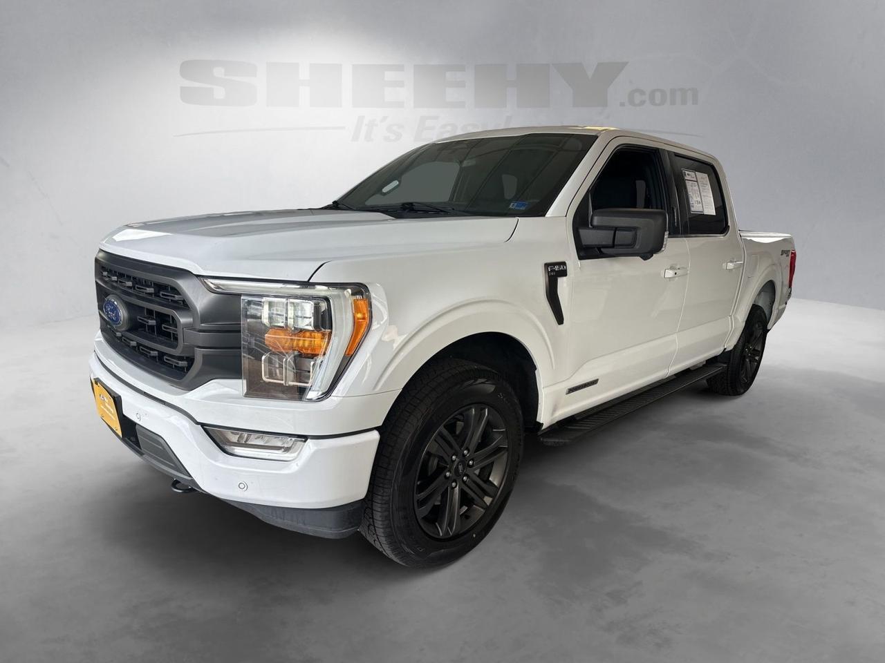 2023 Ford F-150 XLT Richmond VA