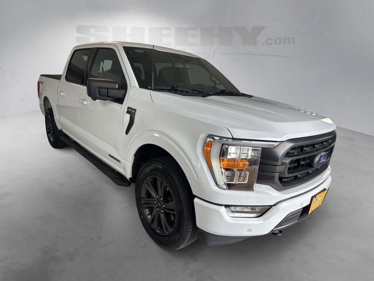 2023 Ford F-150 XLT Richmond VA
