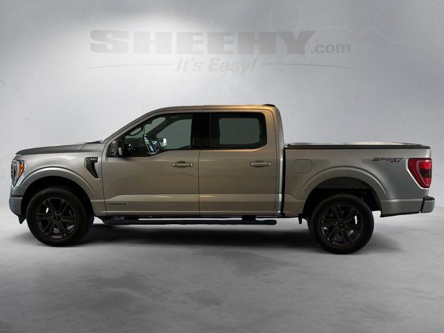 2023 Ford F-150 XLT Richmond VA