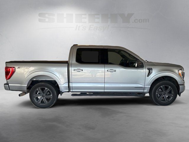 2023 Ford F-150 XLT Richmond VA