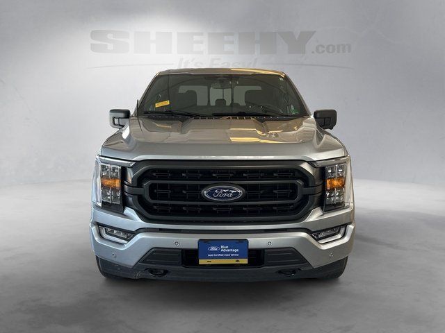 2023 Ford F-150 XLT Richmond VA