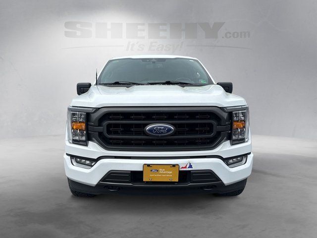 2023 Ford F-150 XLT Richmond VA
