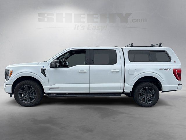 2023 Ford F-150 XLT Richmond VA
