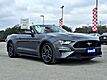 2023 Ford Mustang EcoBoost