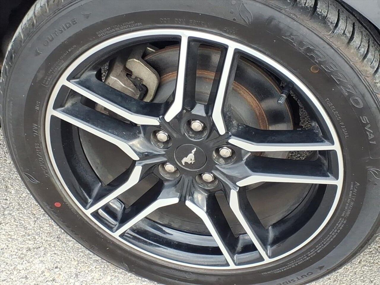 2023 Ford Mustang EcoBoost Uvalde TX