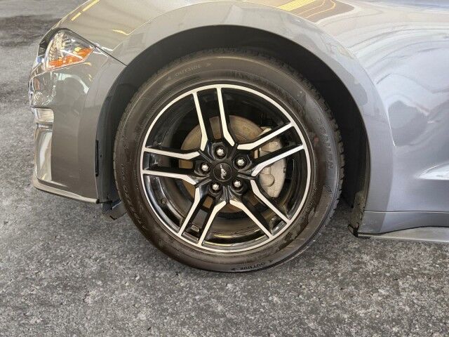 2023 Ford Mustang EcoBoost Burnet TX