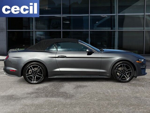 2023 Ford Mustang EcoBoost Burnet TX