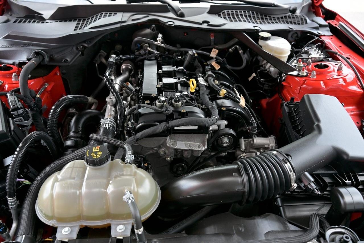 2023 Ford Mustang EcoBoost Lake Worth FL