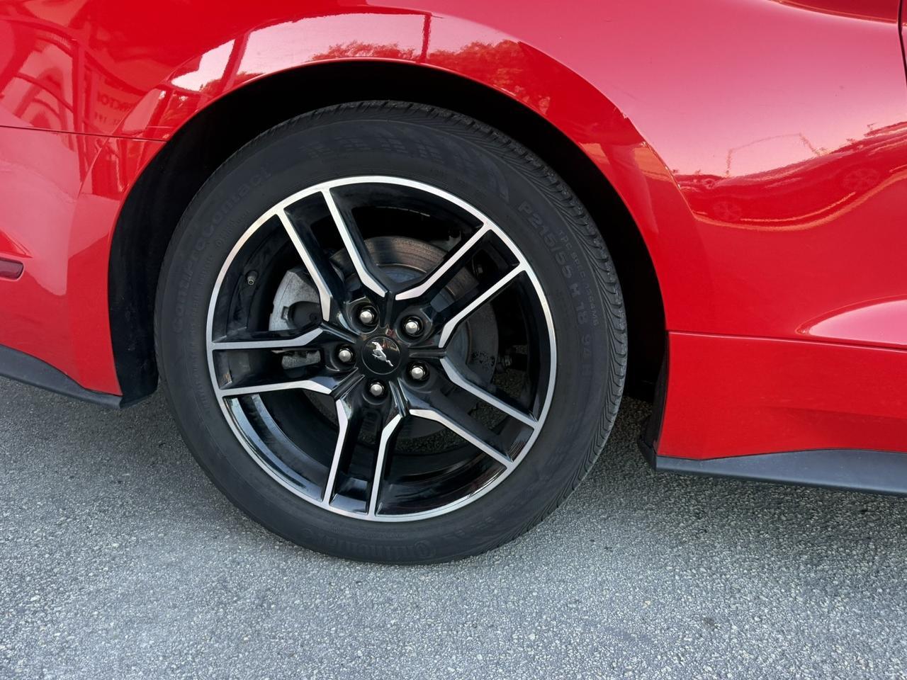 2023 Ford Mustang EcoBoost Hollywood FL