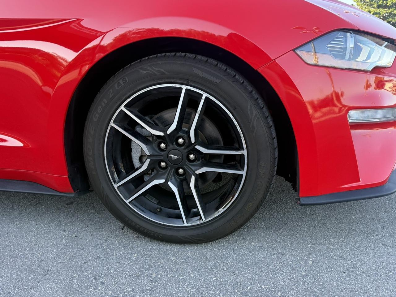 2023 Ford Mustang EcoBoost Hollywood FL