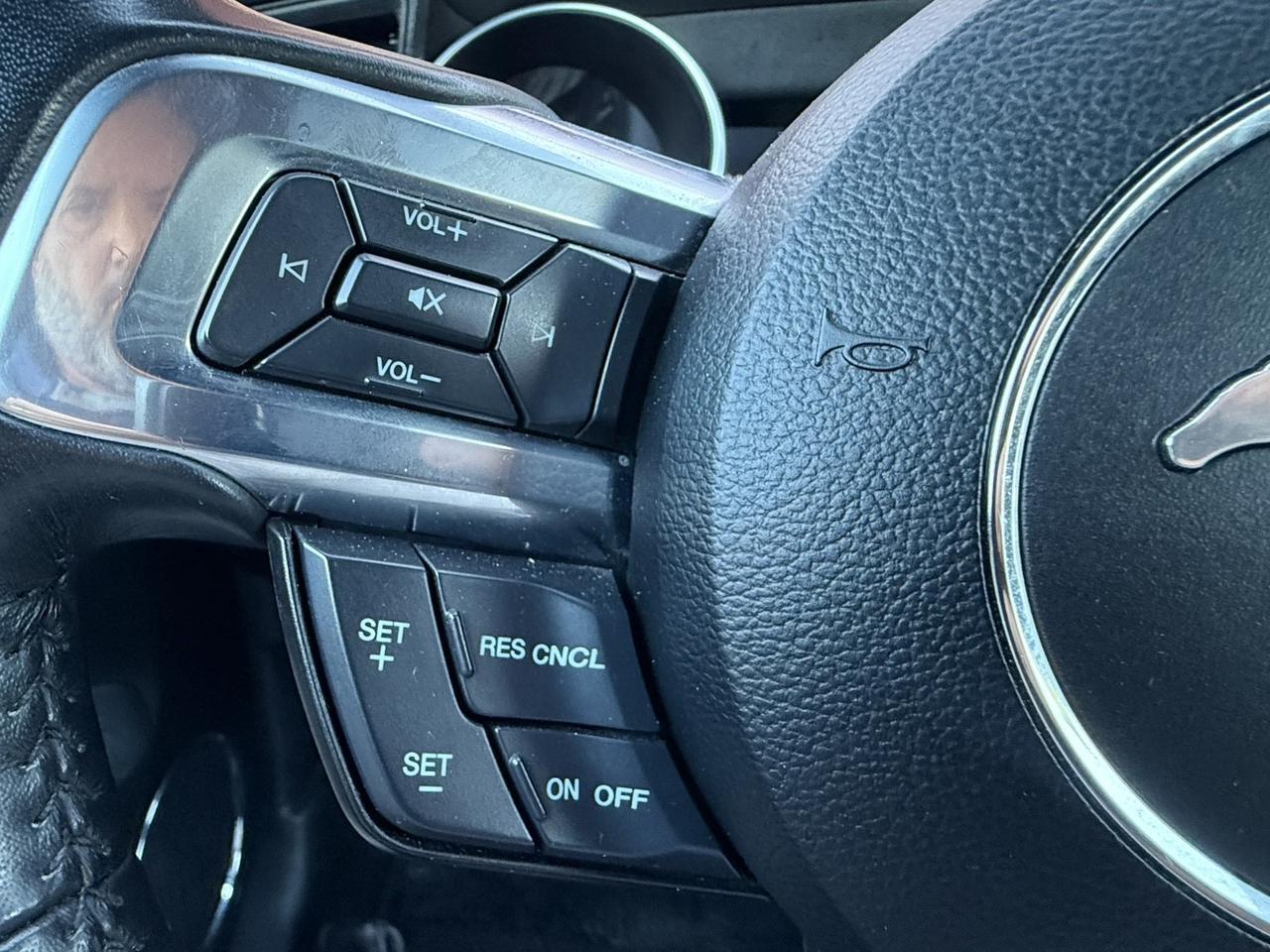 2023 Ford Mustang EcoBoost Hollywood FL