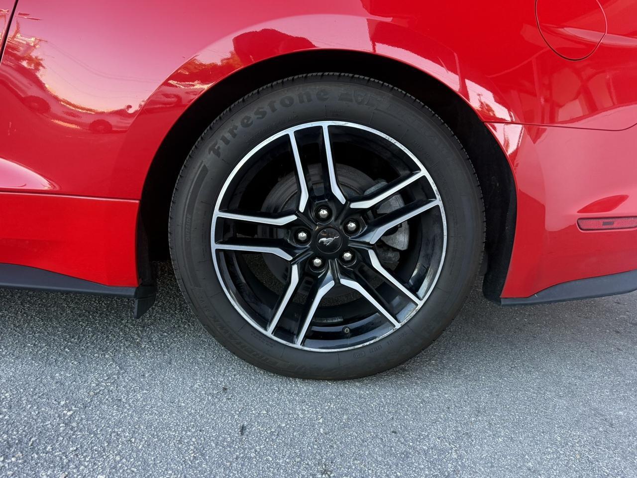 2023 Ford Mustang EcoBoost Hollywood FL