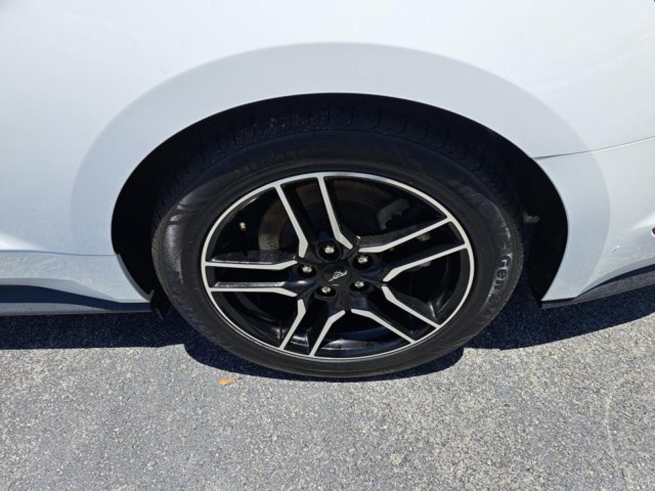 2023 Ford Mustang EcoBoost Lakeworth FL