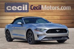 2023_Ford_Mustang_EcoBoost Premium_  TX