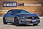 2023 Ford Mustang EcoBoost Premium  TX
