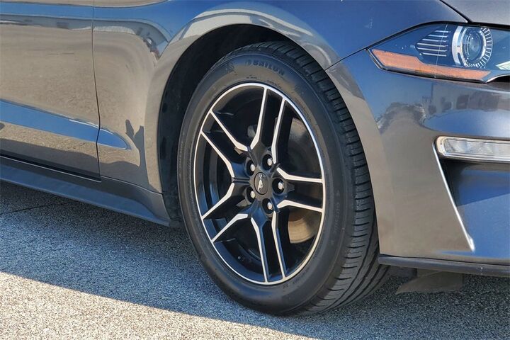 2023 Ford Mustang EcoBoost Premium  TX