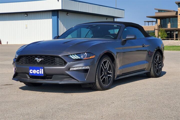 2023 Ford Mustang EcoBoost Premium  TX
