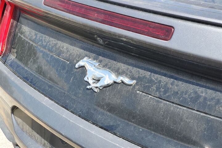 2023 Ford Mustang EcoBoost Premium  TX