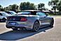 2023 Ford Mustang EcoBoost Premium  TX