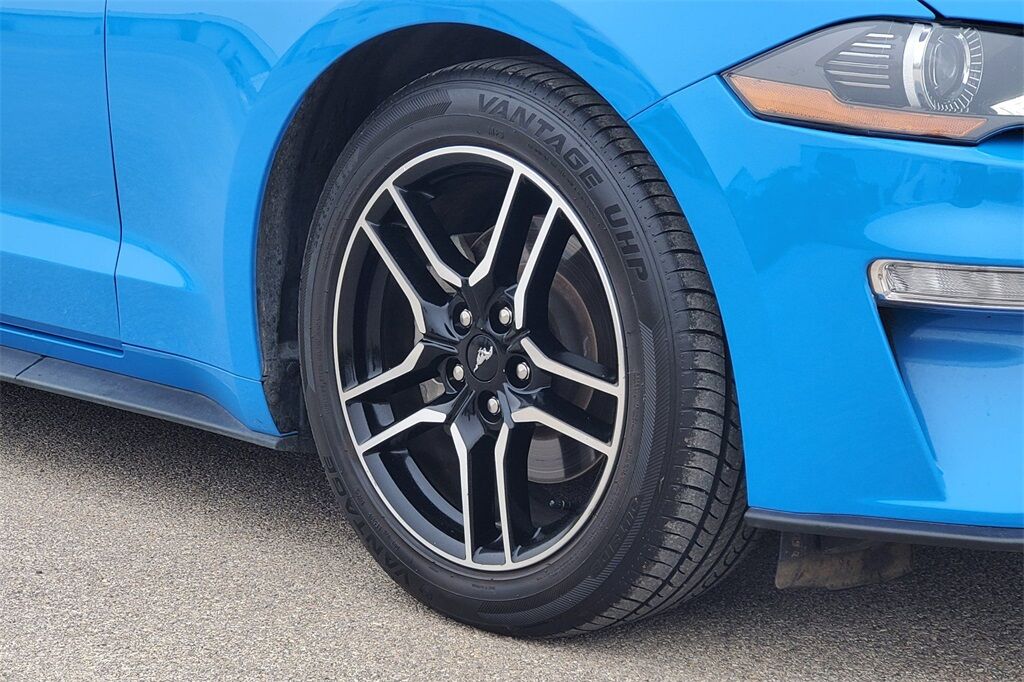 2023 Ford Mustang EcoBoost Premium Hondo TX