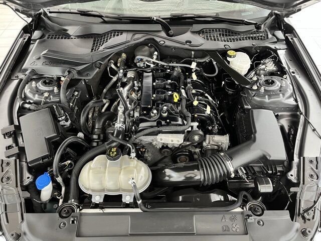 2023 Ford Mustang EcoBoost Premium Carrollton TX