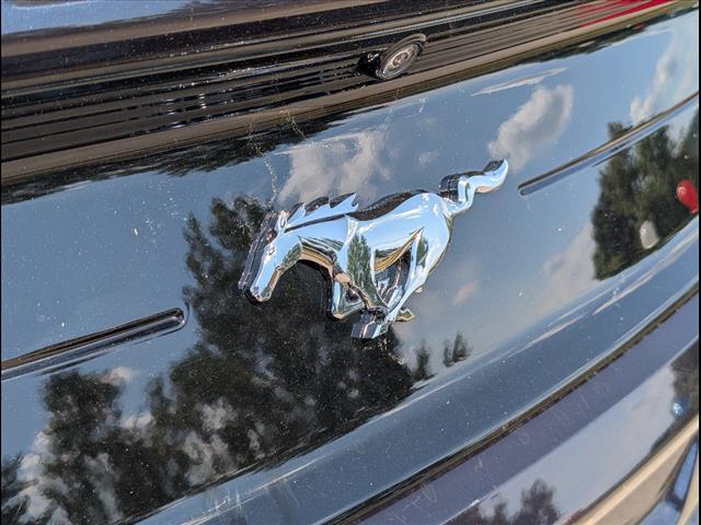 2023 Ford Mustang EcoBoost Premium Chattanooga TN