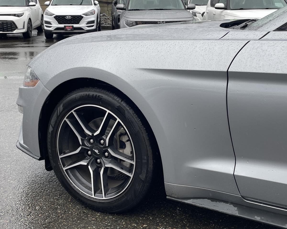 2023 Ford Mustang EcoBoost Premium Convertible 2D