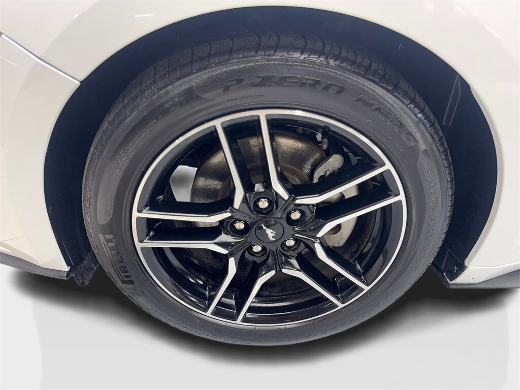 2023 Ford Mustang EcoBoost Premium Convertible CAM,CLMT STS,18&quot; WLS Irving TX