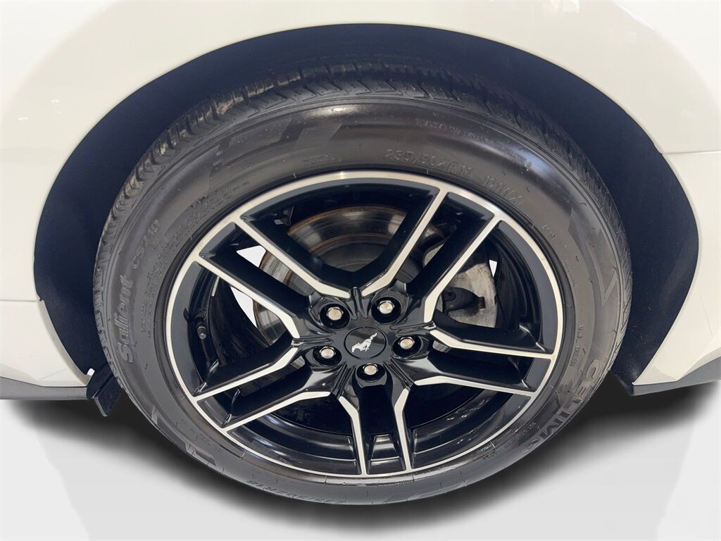 2023 Ford Mustang EcoBoost Premium Convertible CAM,CLMT STS,18&quot; WLS Irving TX