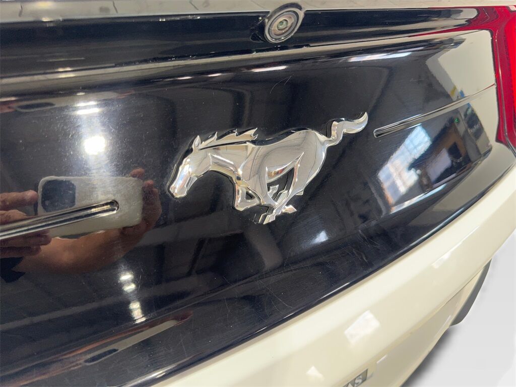 2023 Ford Mustang EcoBoost Premium Convertible CAM,CLMT STS,18&quot; WLS Irving TX
