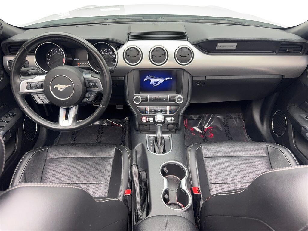 2023 Ford Mustang EcoBoost Premium Convertible CAM,CLMT STS,18&quot; WLS Irving TX