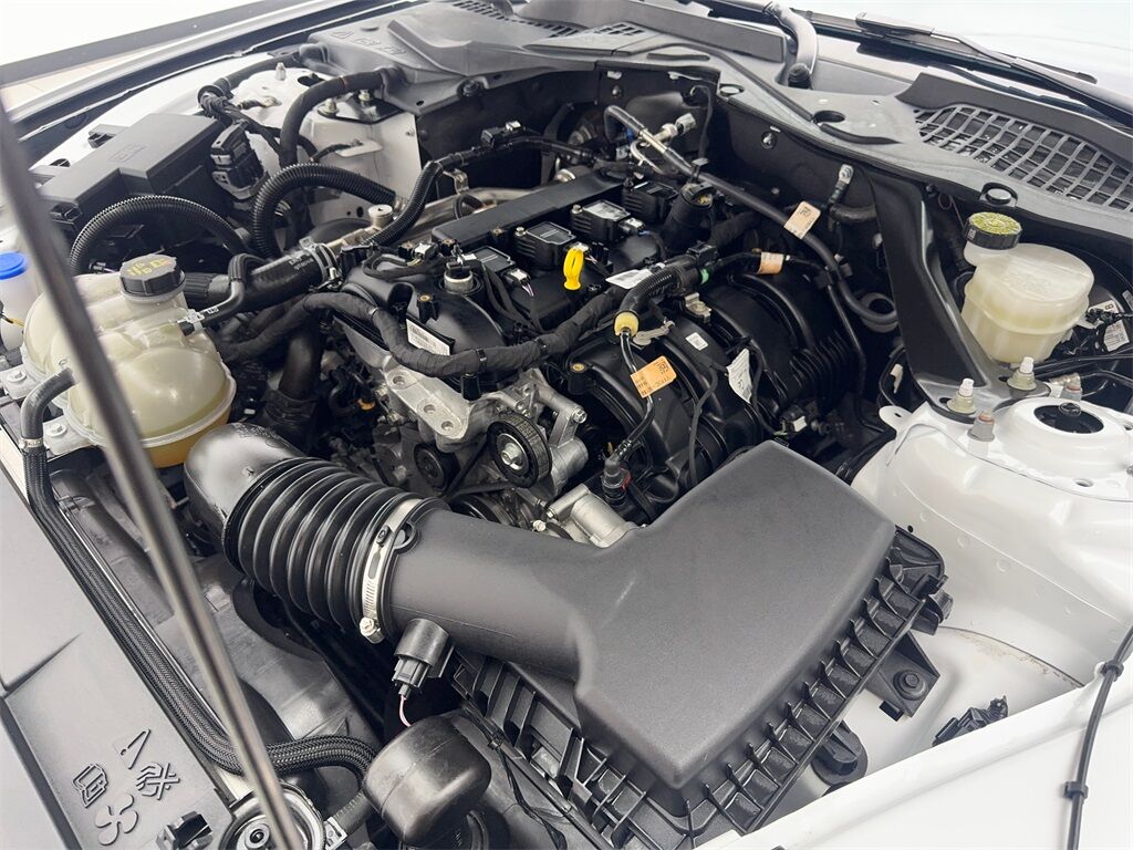 2023 Ford Mustang EcoBoost Premium Convertible CAM,CLMT STS,18&quot; WLS Irving TX