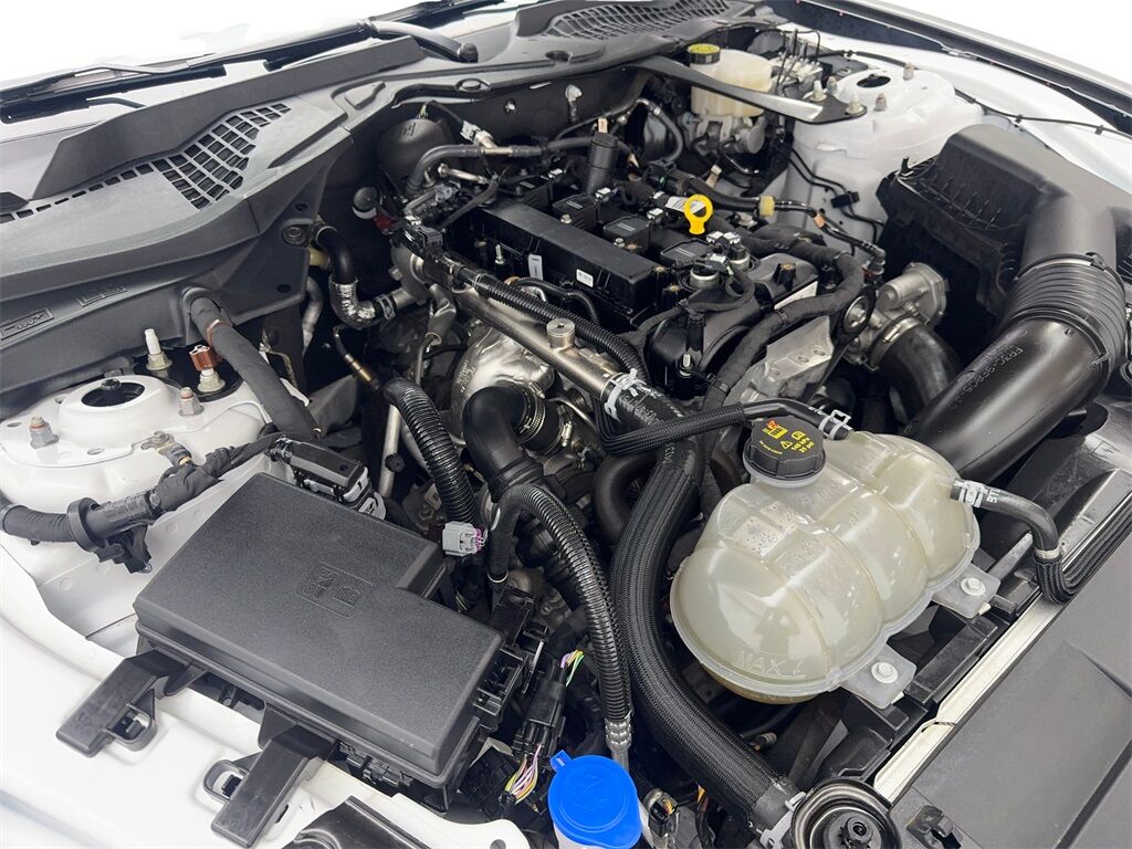 2023 Ford Mustang EcoBoost Premium Convertible CAM,CLMT STS,18&quot; WLS Irving TX