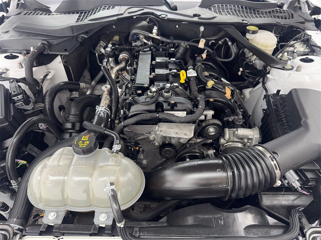 2023 Ford Mustang EcoBoost Premium Convertible CAM,CLMT STS,18&quot; WLS Irving TX