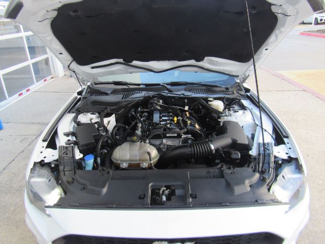 2023 Ford Mustang EcoBoost Premium Convertible Plano TX