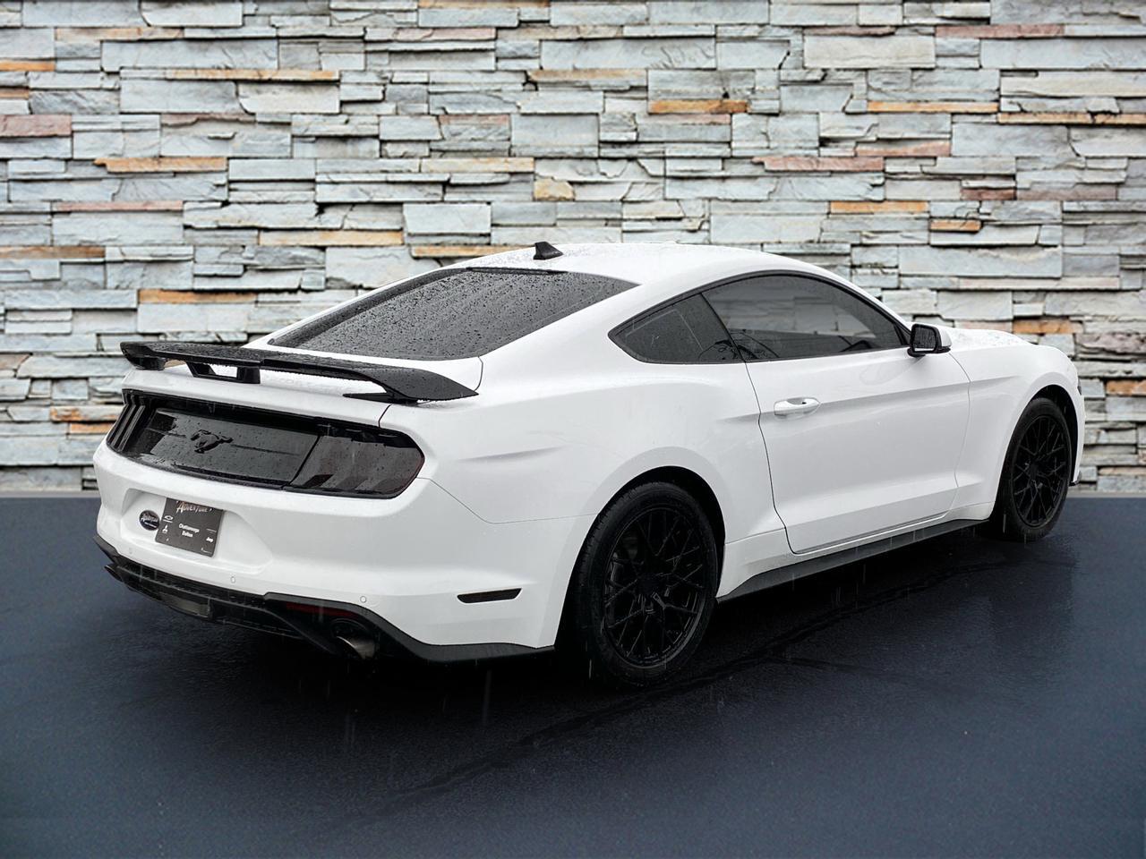 2023 Ford Mustang EcoBoost Premium Dalton GA