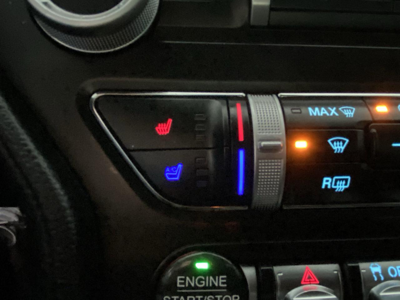 2023 Ford Mustang EcoBoost Premium Dalton GA