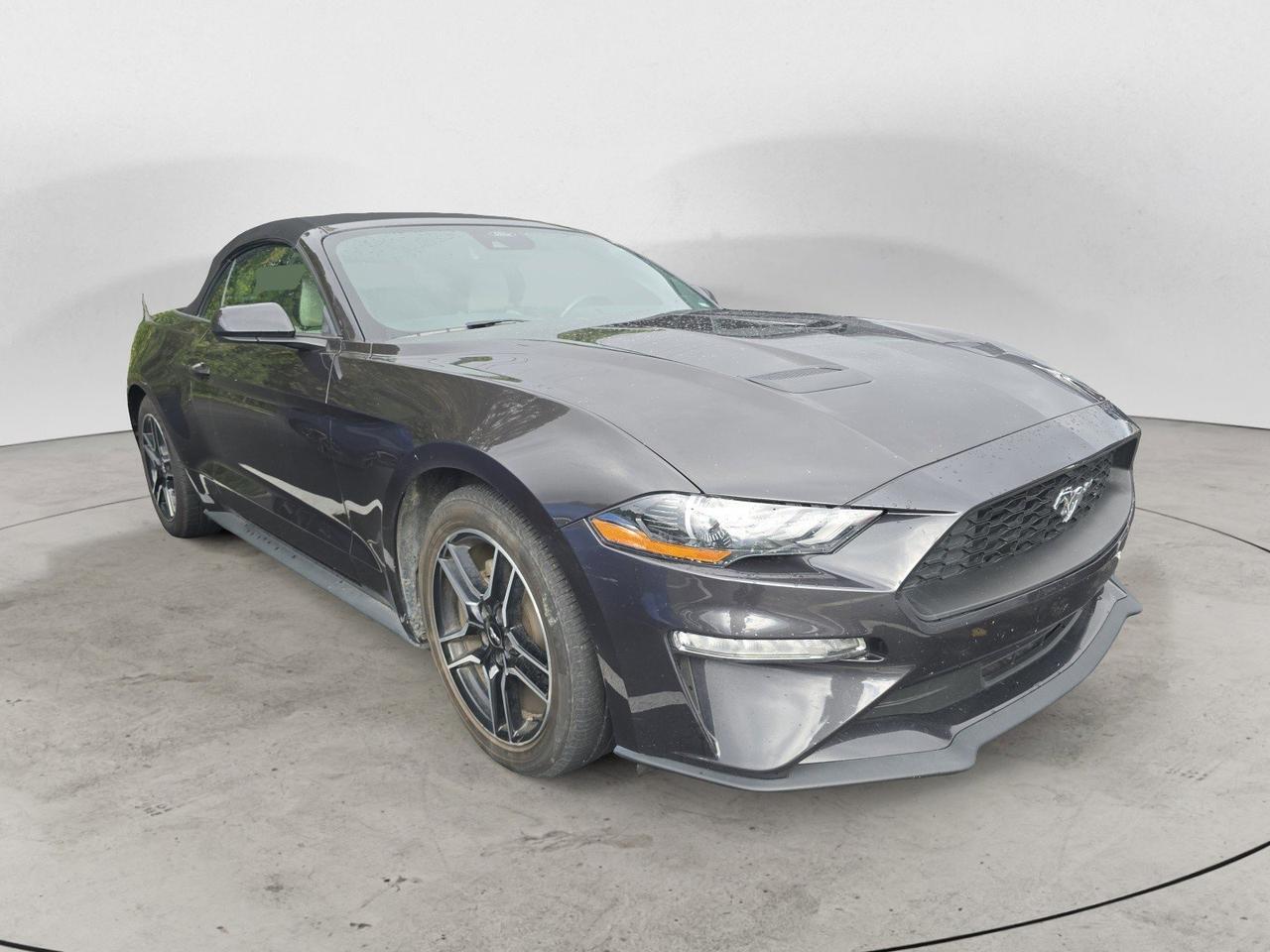 2023 Ford Mustang EcoBoost Premium Dalton GA