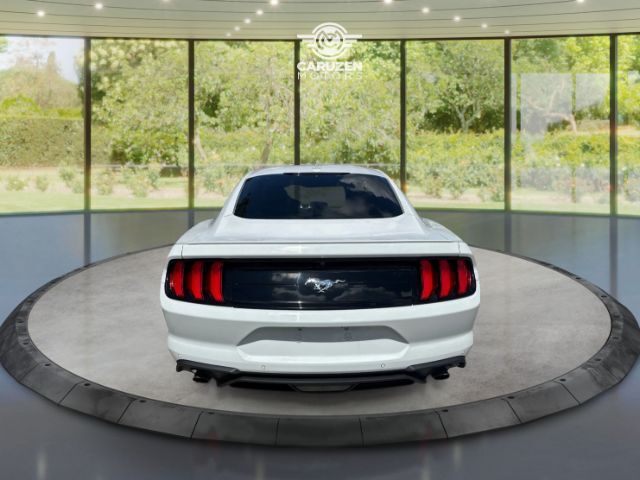 2023 Ford Mustang EcoBoost Premium Fastback Houston TX