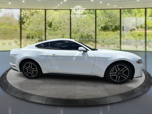 2023 Ford Mustang EcoBoost Premium Fastback Houston TX