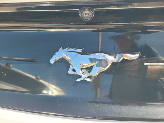 2023 Ford Mustang EcoBoost Premium Folsom CA