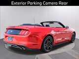 2023 Ford Mustang EcoBoost Premium Oshkosh WI