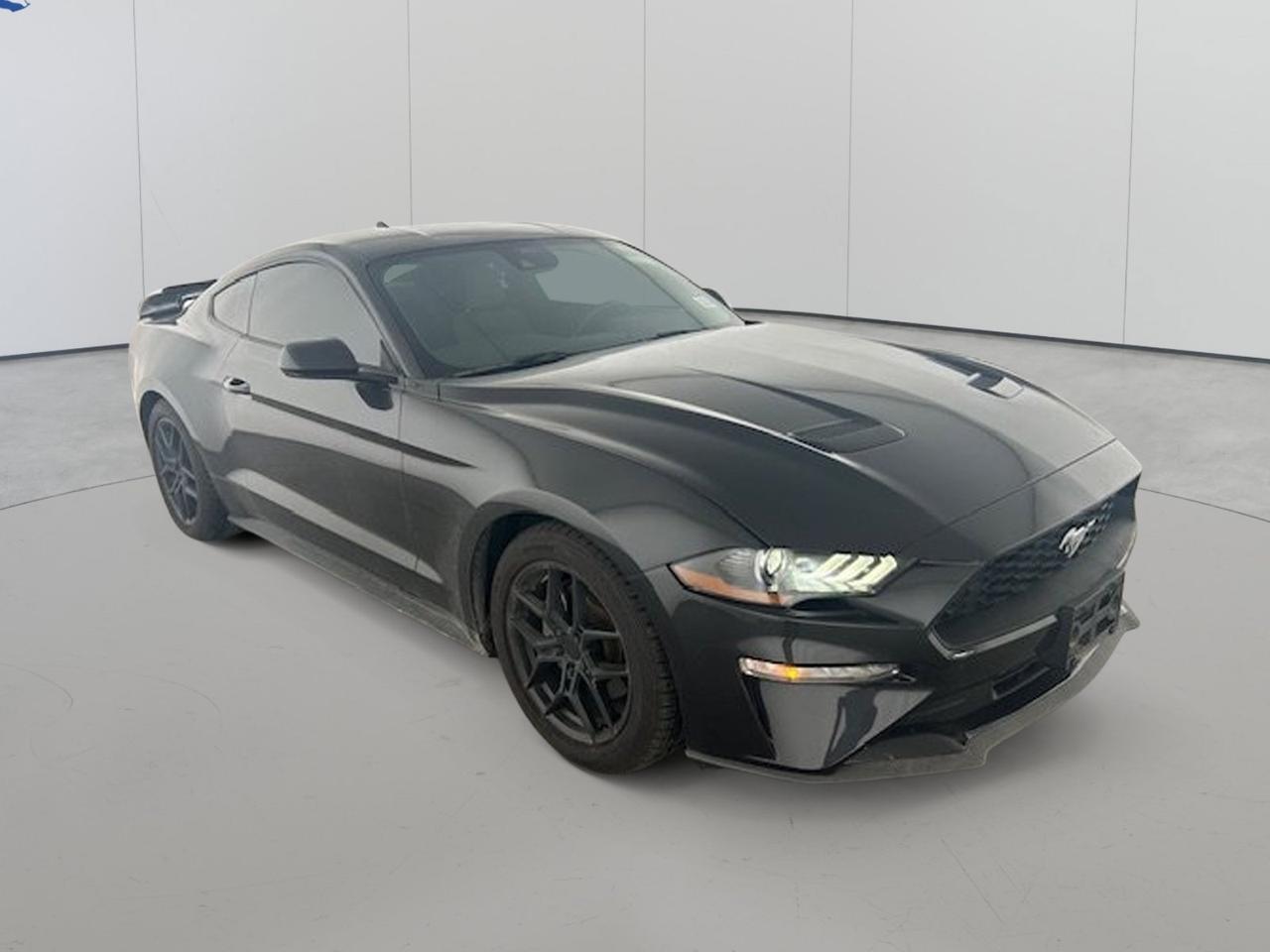 2023 Ford Mustang EcoBoost