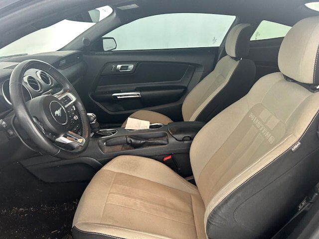 2023 Ford Mustang EcoBoost New Braunfels TX