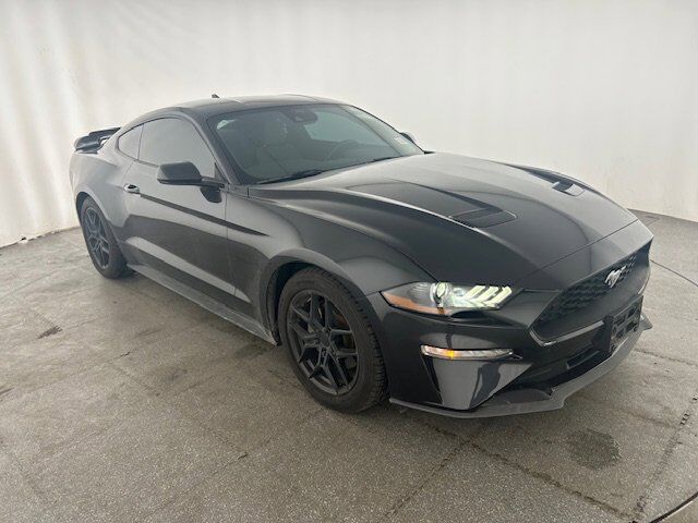 2023 Ford Mustang EcoBoost New Braunfels TX