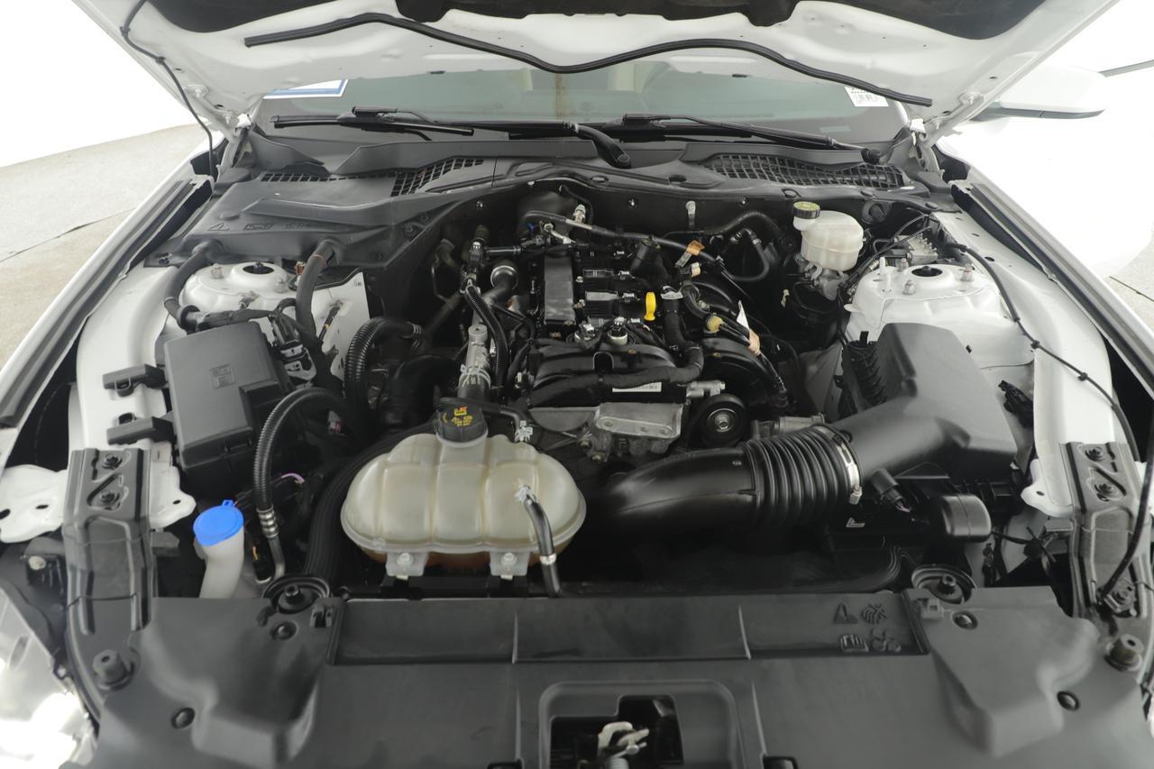 2023 Ford Mustang EcoBoost New Braunfels TX