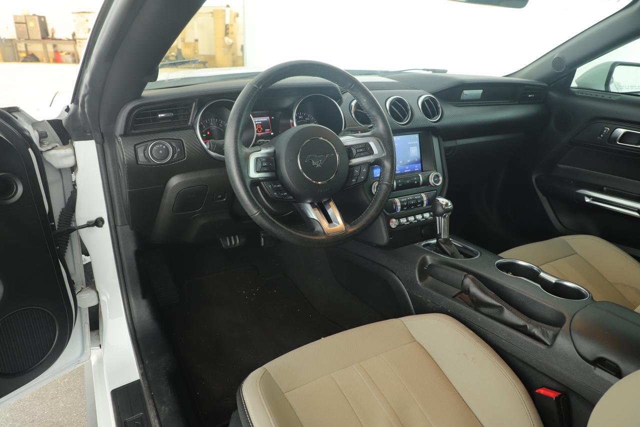 2023 Ford Mustang EcoBoost New Braunfels TX