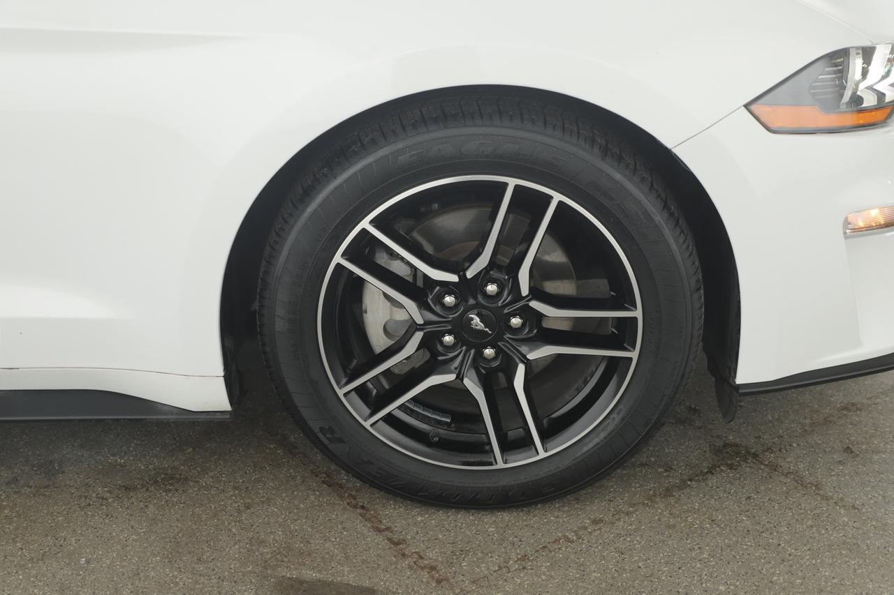 2023 Ford Mustang EcoBoost New Braunfels TX